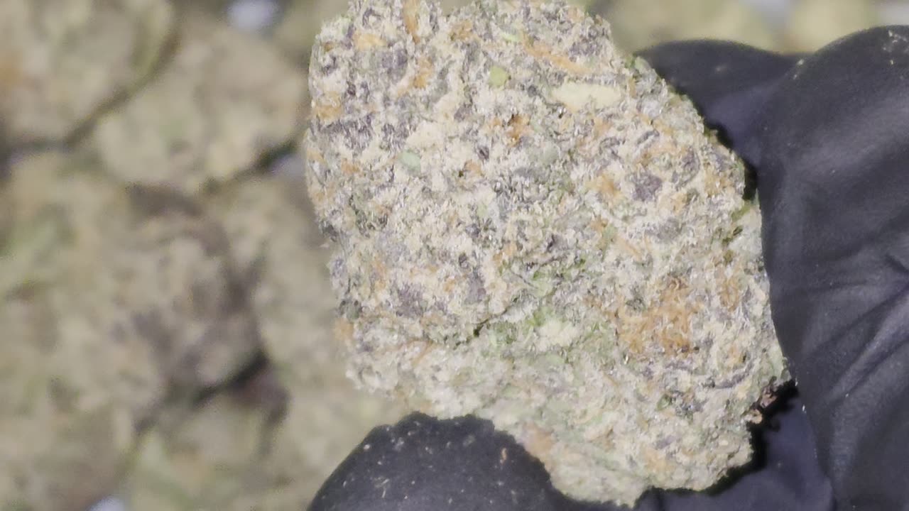 Pineapple Donut THC Flower - Private Reserve