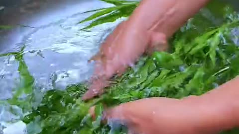 Making Erigeron sumatrensis vegetables