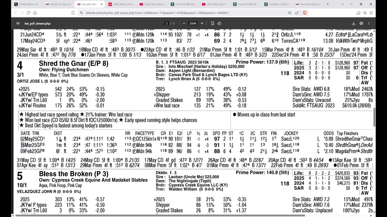 Capping Corner - Acorn Stakes 2025 at Saratoga - Good Cheer vs. Shred the Gnar