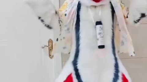.