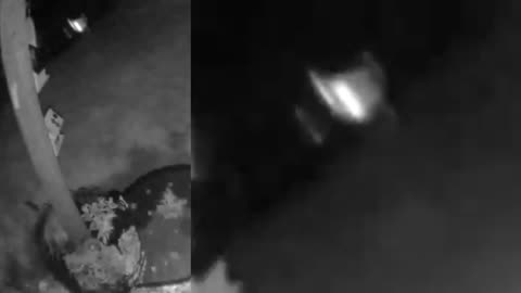 Insect? Glare? Orb? 7-17-25