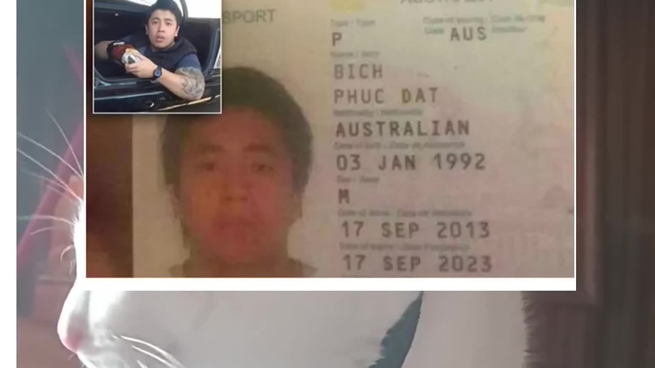 PHUC DAT BICH