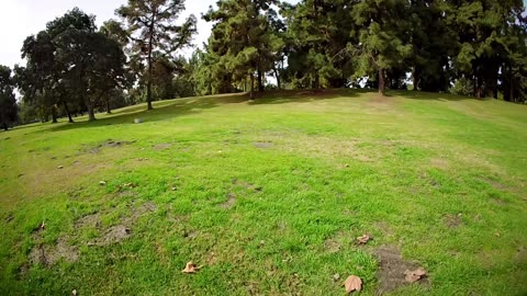 El Dorado Park Area II 2025