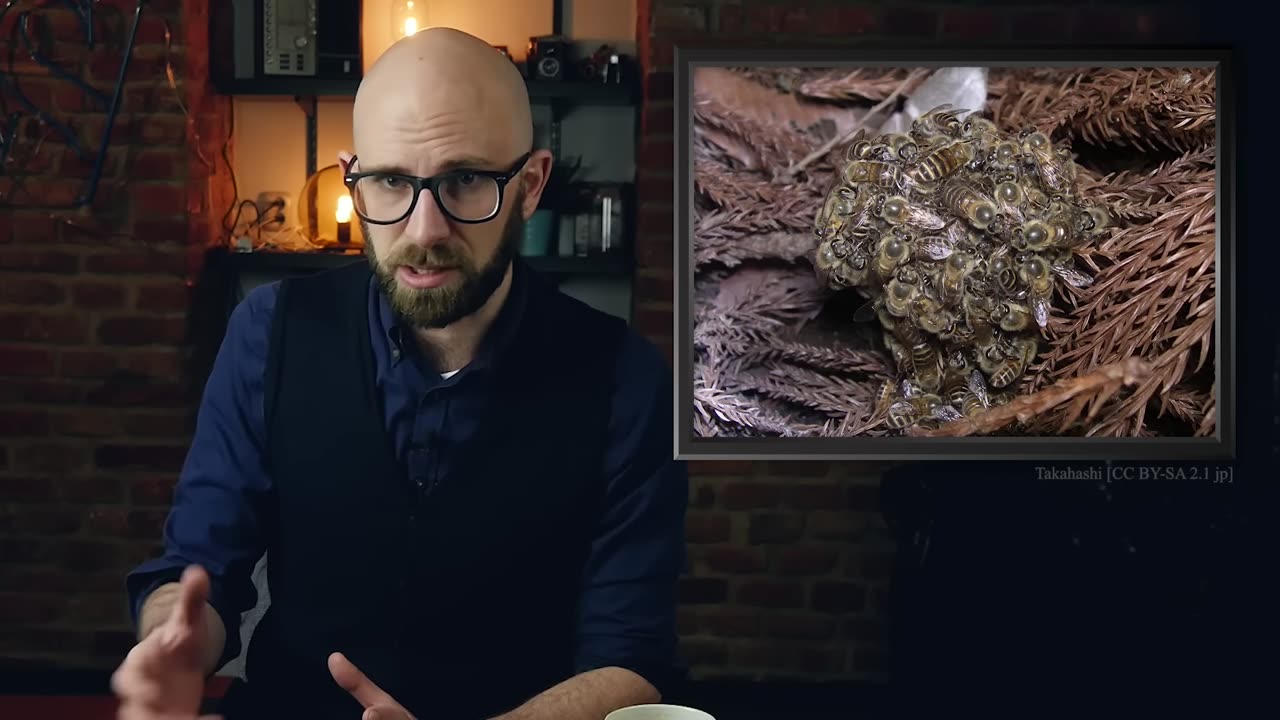What is the Difference Between Bees, Wasps, and Hornets?