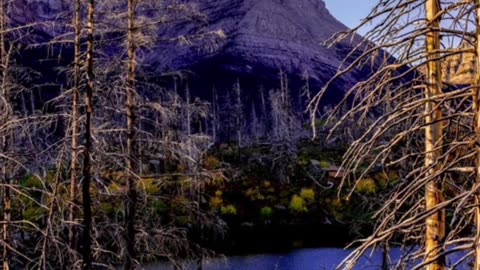 Little pond