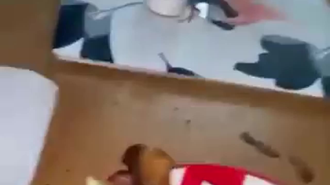 😂🐶 This Dog's Reaction Will Make You Laugh! | FunFM