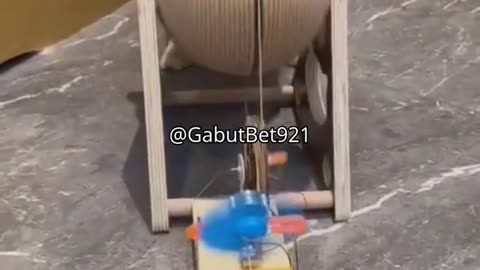 funny cat