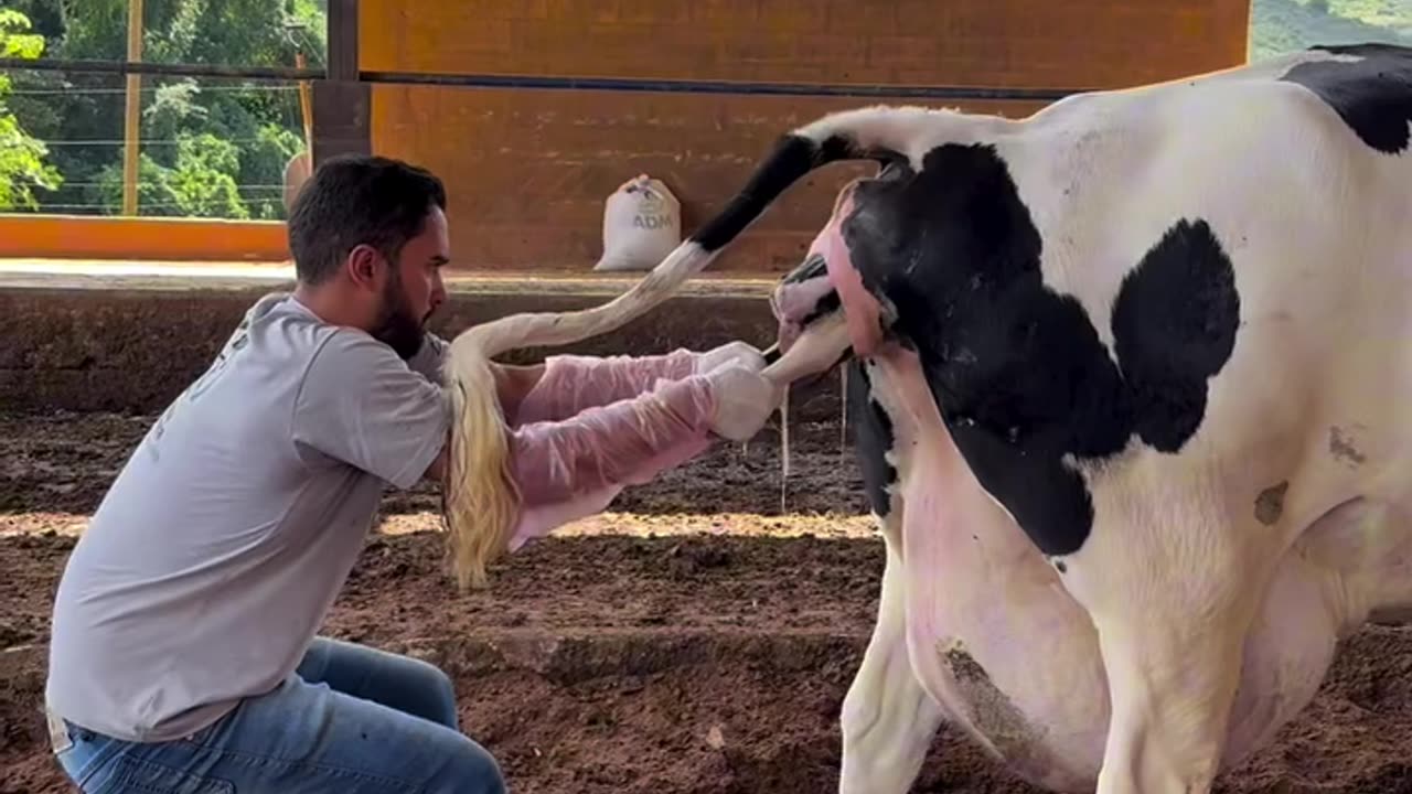 A Powerful Moment of Life | Crow Birth Caught on Camera 🐣✨