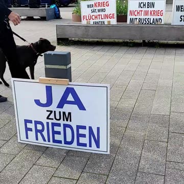 Schilder - Mahnwache Nr. 257 in Schwäbisch Gmünd am 06.05.2025