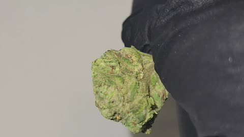 Obama Runtz THCA Smalls - Ounces