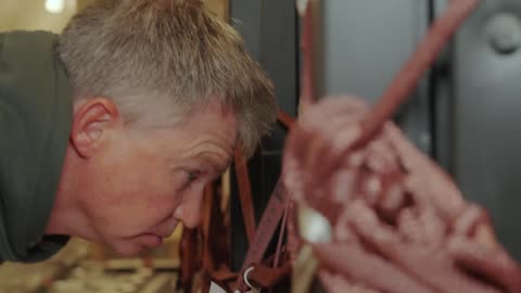 🔥 I Saved 1000 Animals from Dying – Inspired by MrBeast’s Biggest Rescue Mission!