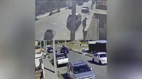 Menores se llevan gatos en La Serena