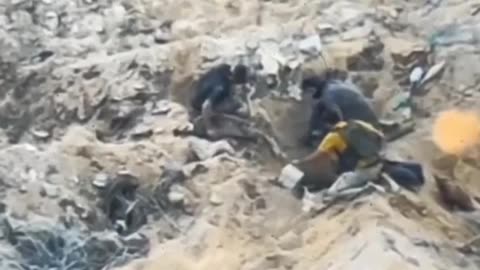 Hamas Militants Rush to Get Back Underground After Realizing They're Being Watched