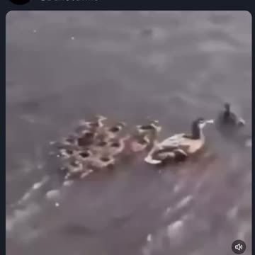 Dan Scavino's Message 28 Dec 2025 - COME TOGETHER=134