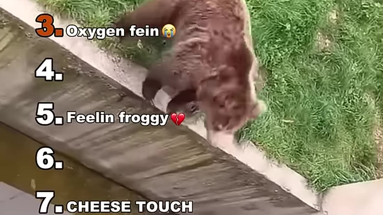 Best Medazelli funny moments