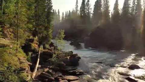 Peaceful River Flow in Ultra HD – Nature Sounds for Relaxation