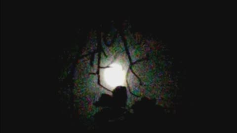 SPOOKY MOON 👻🌜🌚🌗