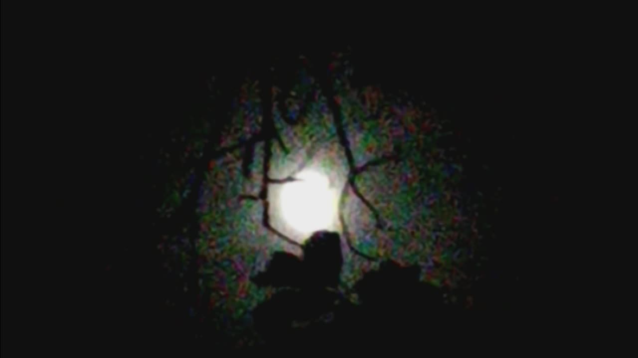 SPOOKY MOON 👻🌜🌚🌗