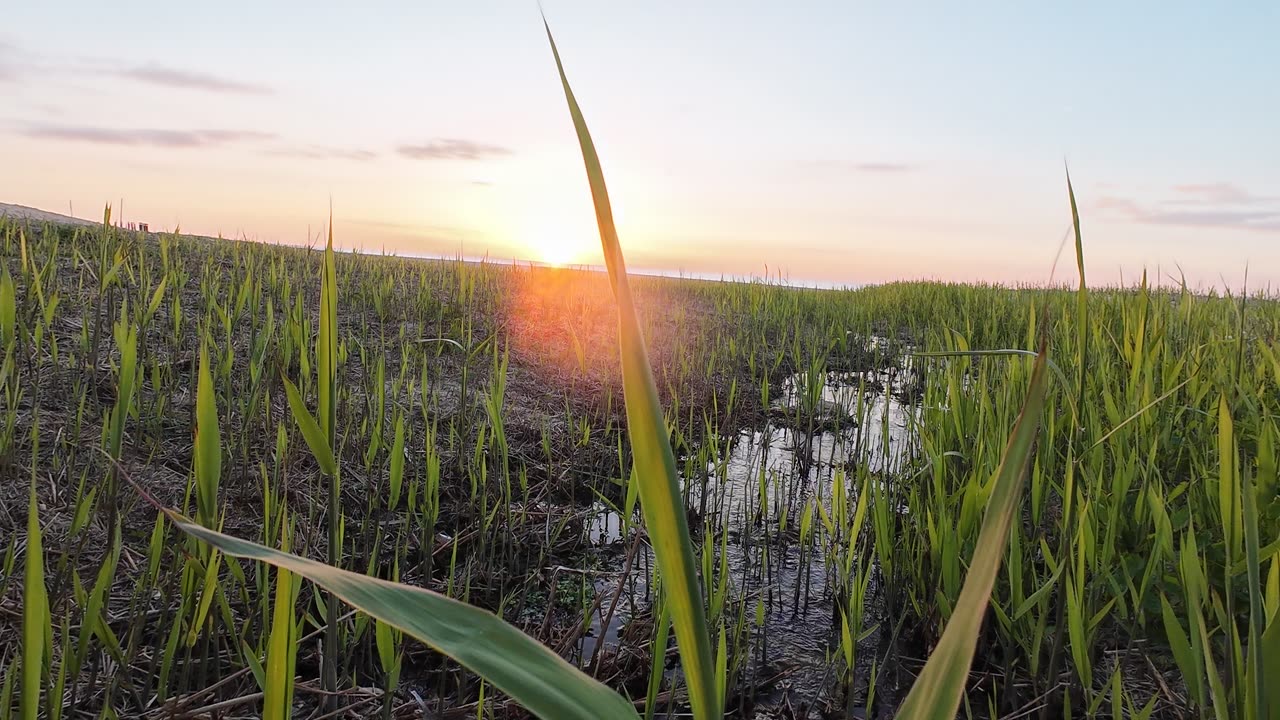 CARNAVAL SESIMBRA PORTUGAL 2025 PART 14