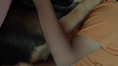 🤣🐶 When Your Dog and Brother Team Up for Chaos! | FunFM