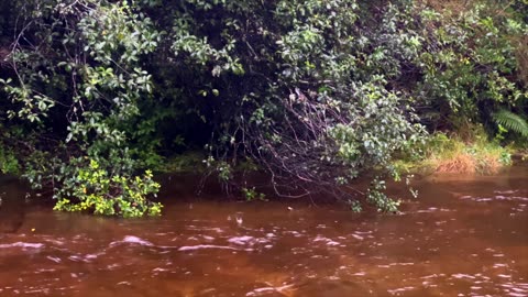 Restival Love Letter by Vincent Eastwood