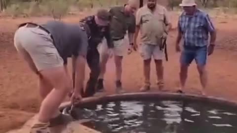 😱🐍 You Won't Believe How This Person Tried to Remove a Snake! | FunFM