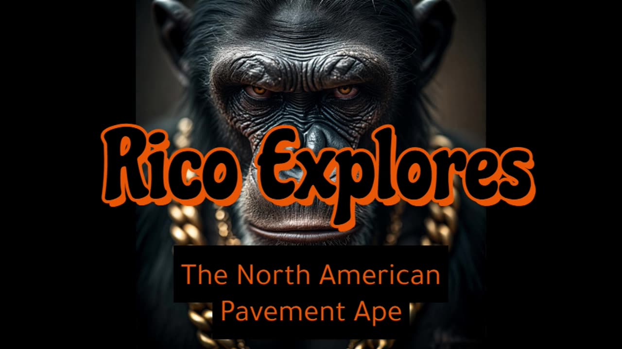 Rico Explores The North American Pavement Ape