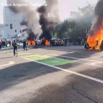 Rioters burn cars in Los Angeles