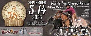 2025 Reno Snaffle Bit Futurity | Friday