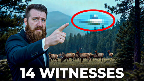 There’s Something VERY WRONG In Our National Forests