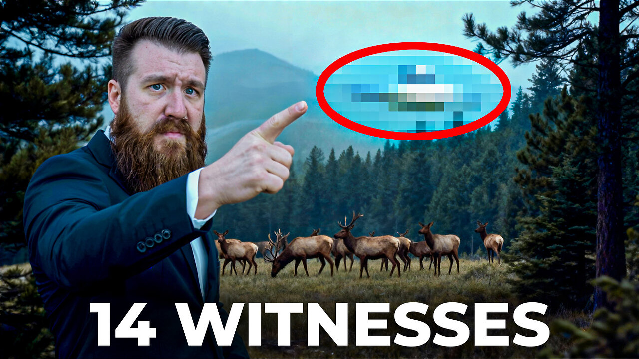 There’s Something VERY WRONG In Our National Forests