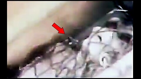 The Clearest Video Of The Varginha Brazil Alien Was Just Released...