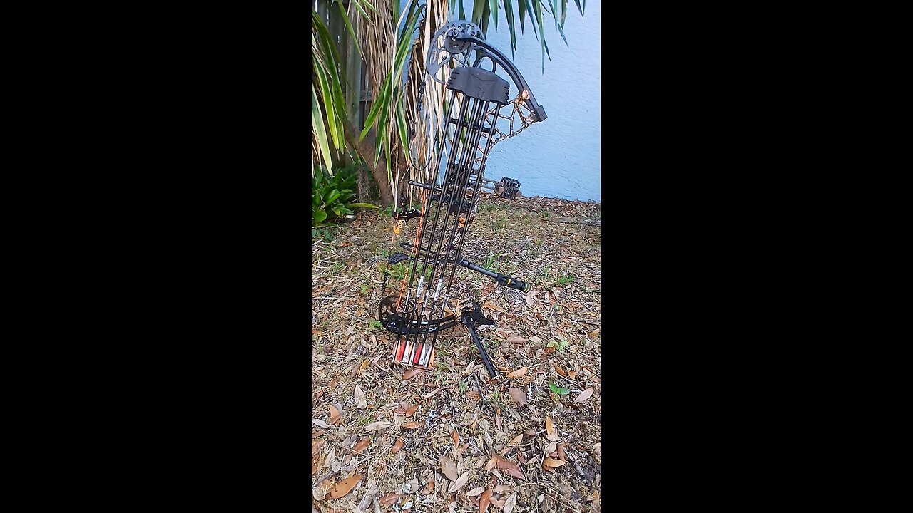 New bow, Bear Legit Maxx