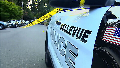 Bellevue Shelter Murder: Suspect on the Run After Fatal Campsite Attack