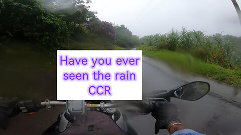 Have you ever seen the rain #ccr