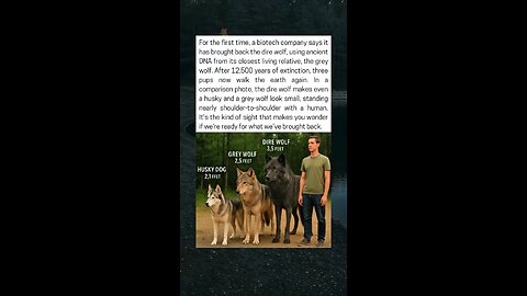 Dire Wolf Brought Back After 12,500