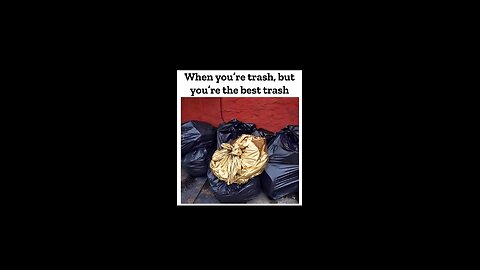 Trash Gaming 😆🤦‍♂️🤷‍♂️