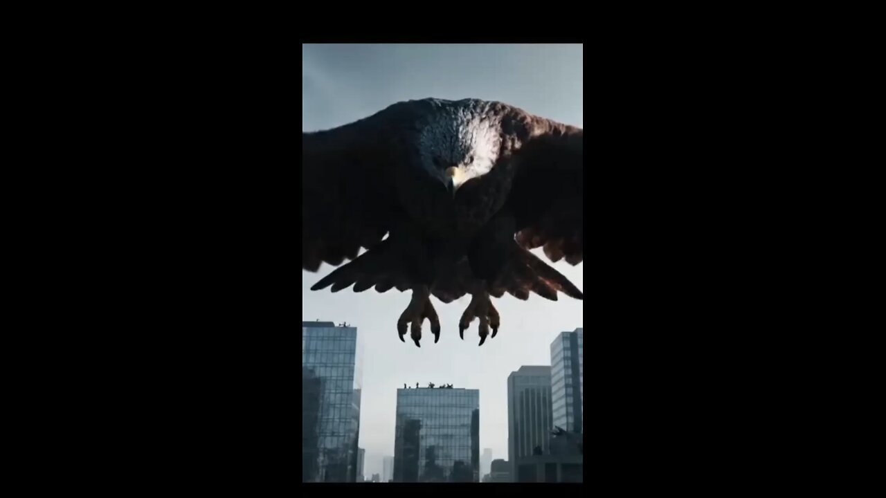 WORLD'S BRAVEST Man Stops Jet-Sized Eagle in Mid-Air!