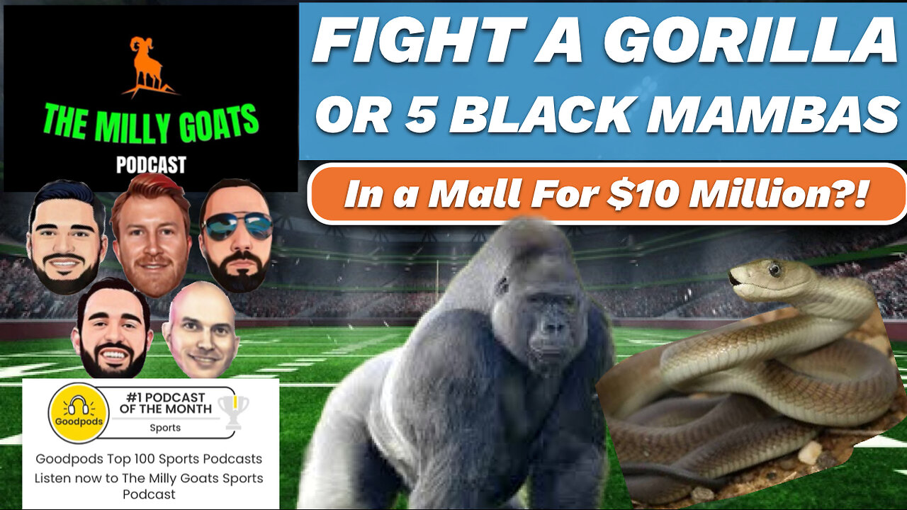 Fight a Gorilla or 5 Black Mambas for $10 Million?!