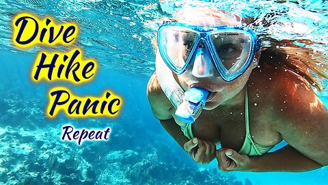 SDA184 Dive Hike Panic (repeat)