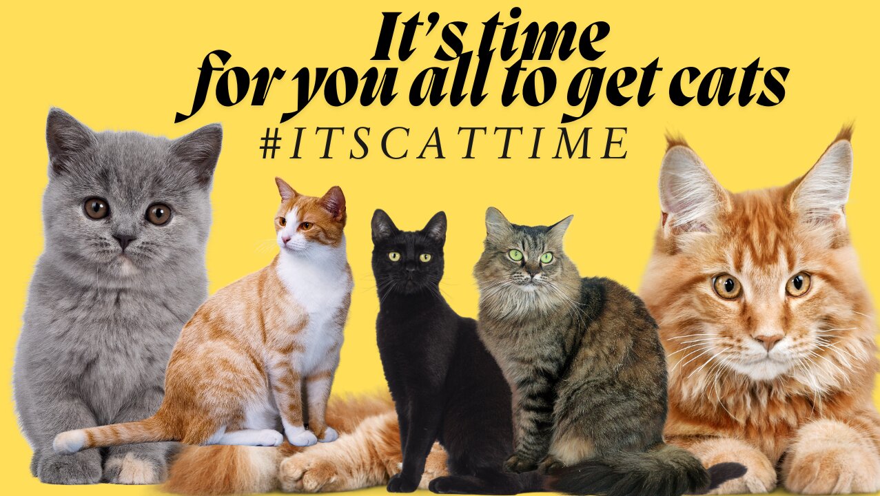 Senor I Want to Offer You a Clue