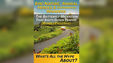 The Butterfly Migration That Shuts Down Traffic (Rumble Exclusive)