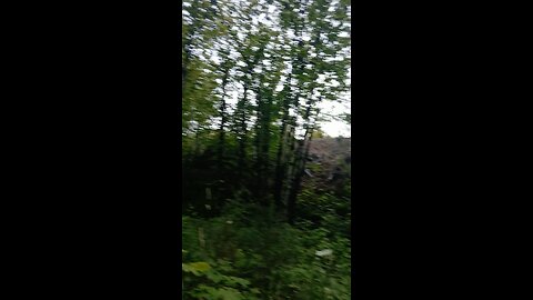 walk