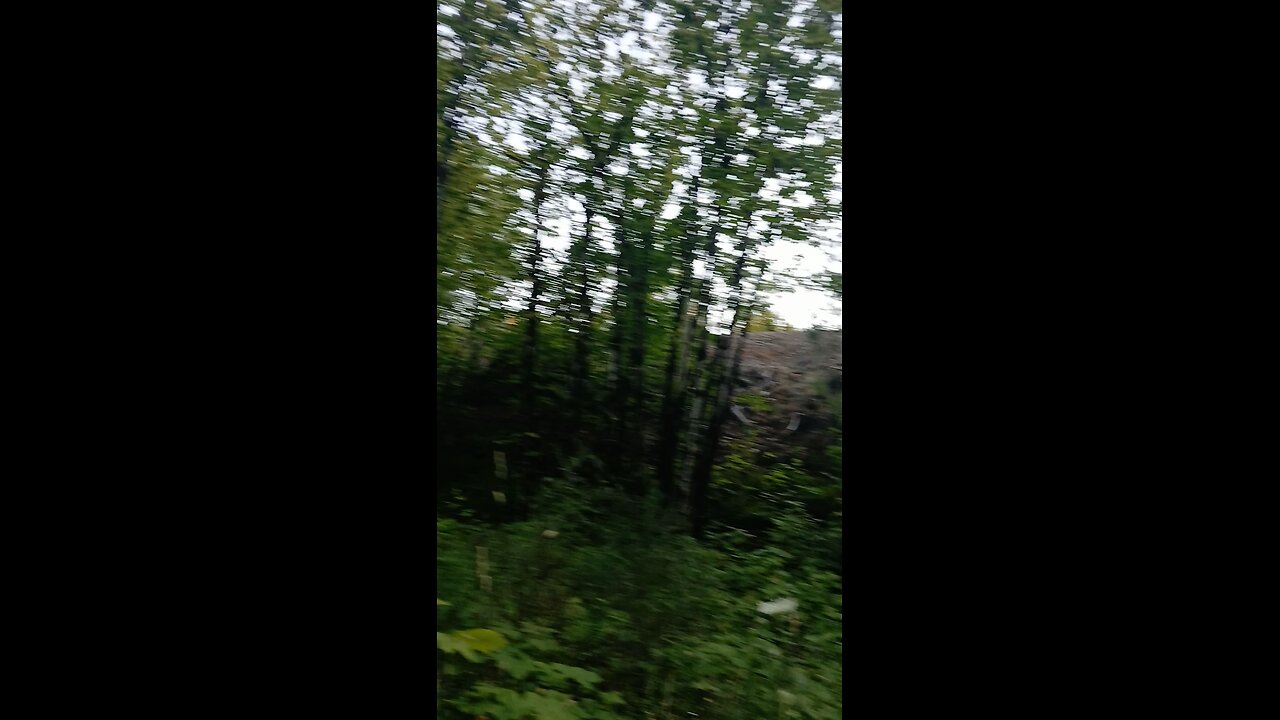 walk