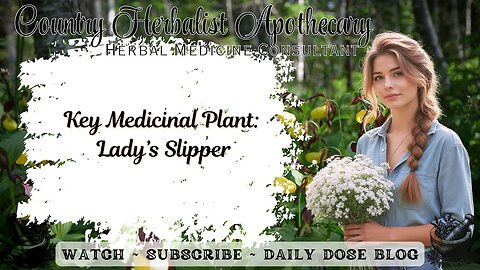 Key Medicinal Plant: Lady’s Slipper