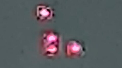 Polymarket - JUST IN： Mysterious red orbs were spotted over Denver last night.