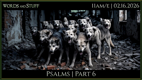 Pack of Dogs | WaS Bible Study