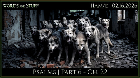 Pack of Dogs | WaS Bible Study