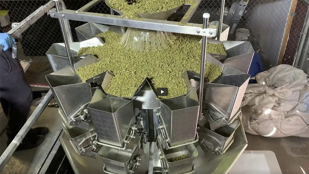 1oz to 10lbs CANNABIS Scale BULK WEIGHING - 10 head 2.5L Combination Weigher | Weighpack HighTek USA