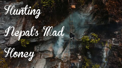 Hunting Nepal's Mad Honey That Causes Hallucinations